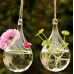 Clear Flower Hanging Vase Planter Terrarium Container Glass Home Wedding Decor   122047166030